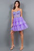 Sweetheart Corset Top Detailed Multi Layered Skirt Cocktail Dress for Women 4/XS-16/3X